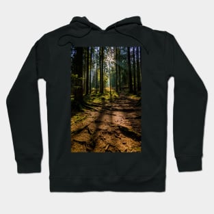 Black Forest near Baiersbronn, Germany Hoodie